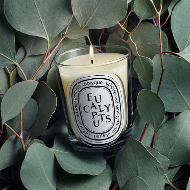 Eucalyptus Classic Candle - Image 2