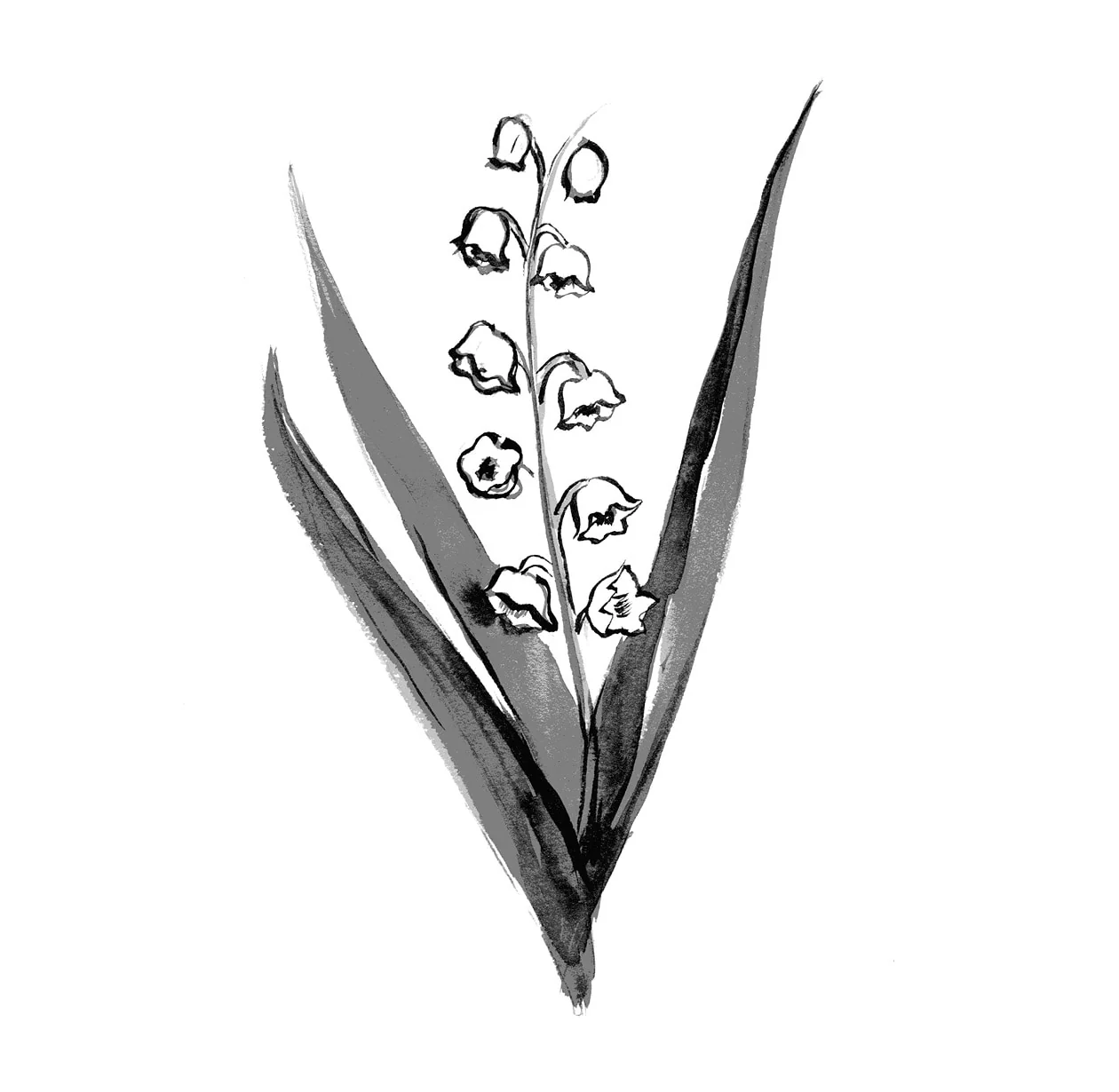 1er Mai - Image 3