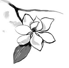 Eau de Magnolia - Image 6